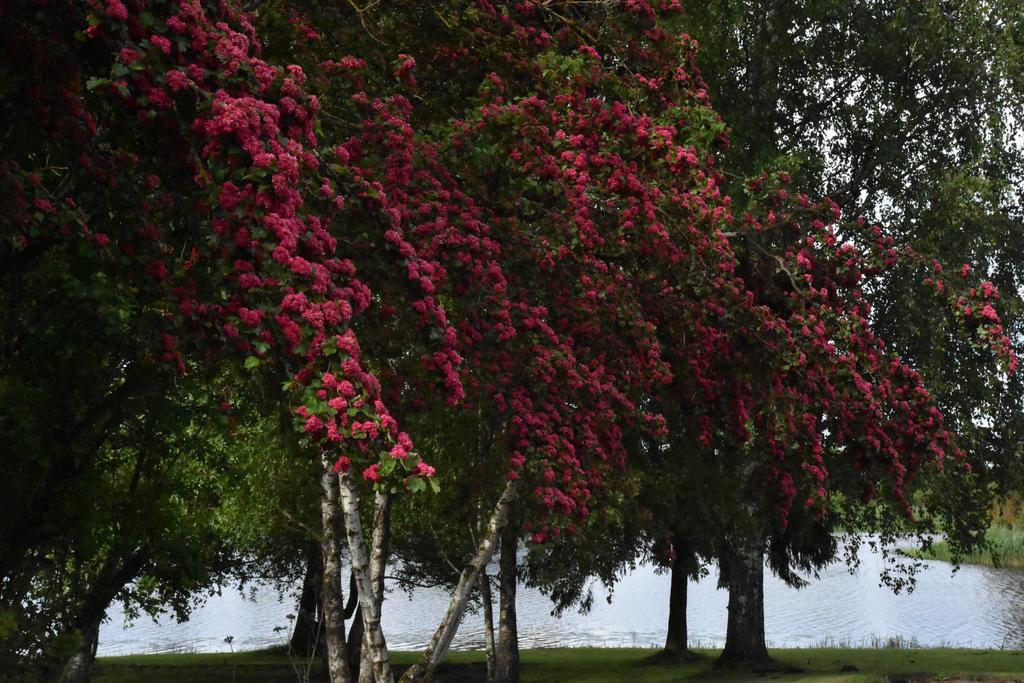 Ilmatsalu Motell Buitenkant foto